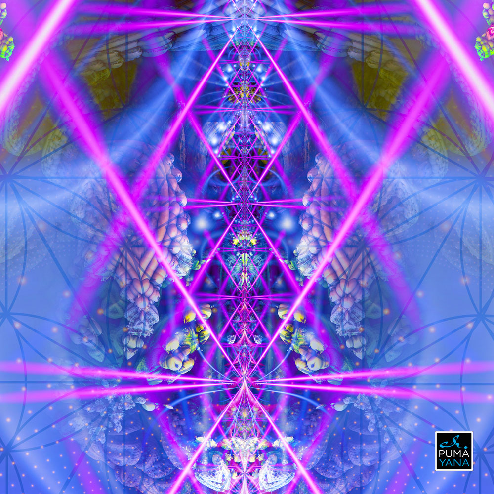 Psychedelic Art, psychedelic tapestry, EMF pendant