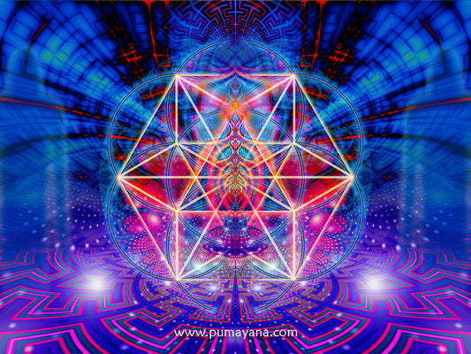 The Arcturian Factor | Spiritual Visionary Artwork