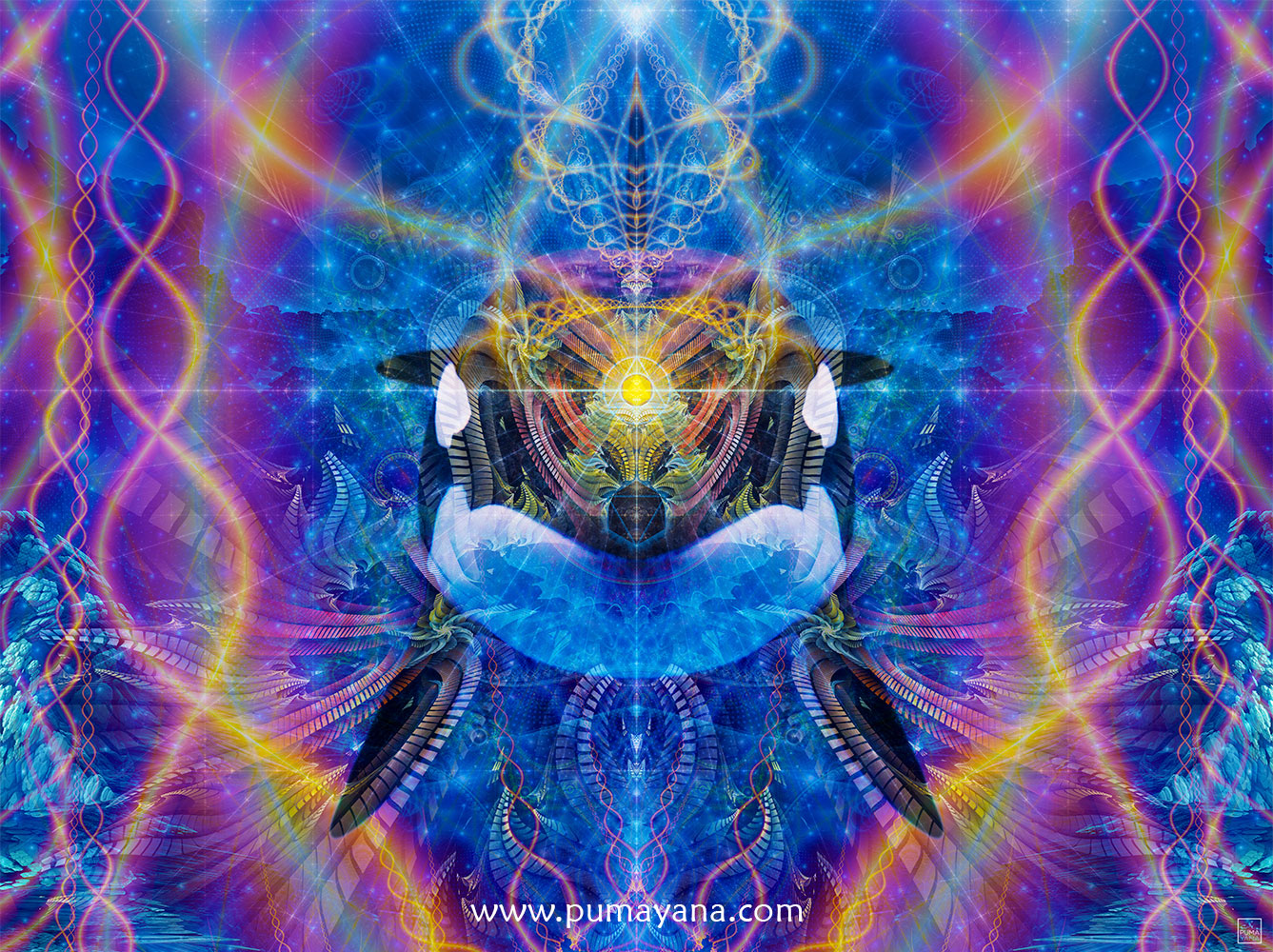 Orca Ardluk Spirit | Animal Totem Visionary Artwork