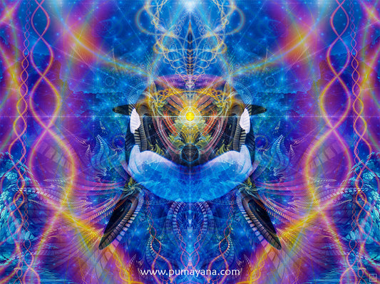 Orca Ardluk Spirit | Animal Totem Visionary Artwork