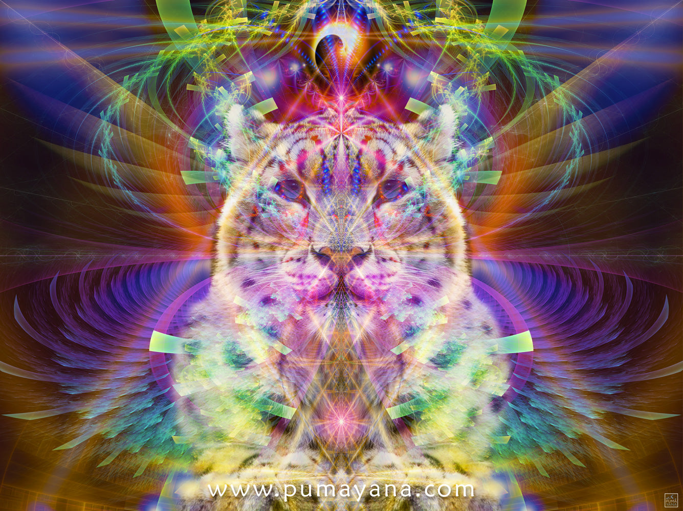Snow Leopard Ayana Spirit | Animal Totem Visionary Artwork
