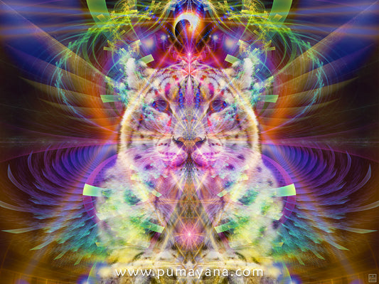 Snow Leopard Ayana Spirit | Animal Totem Visionary Artwork