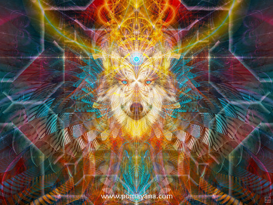Wolf Beauwolf Spirit | Animal Totem Visionary Artwork