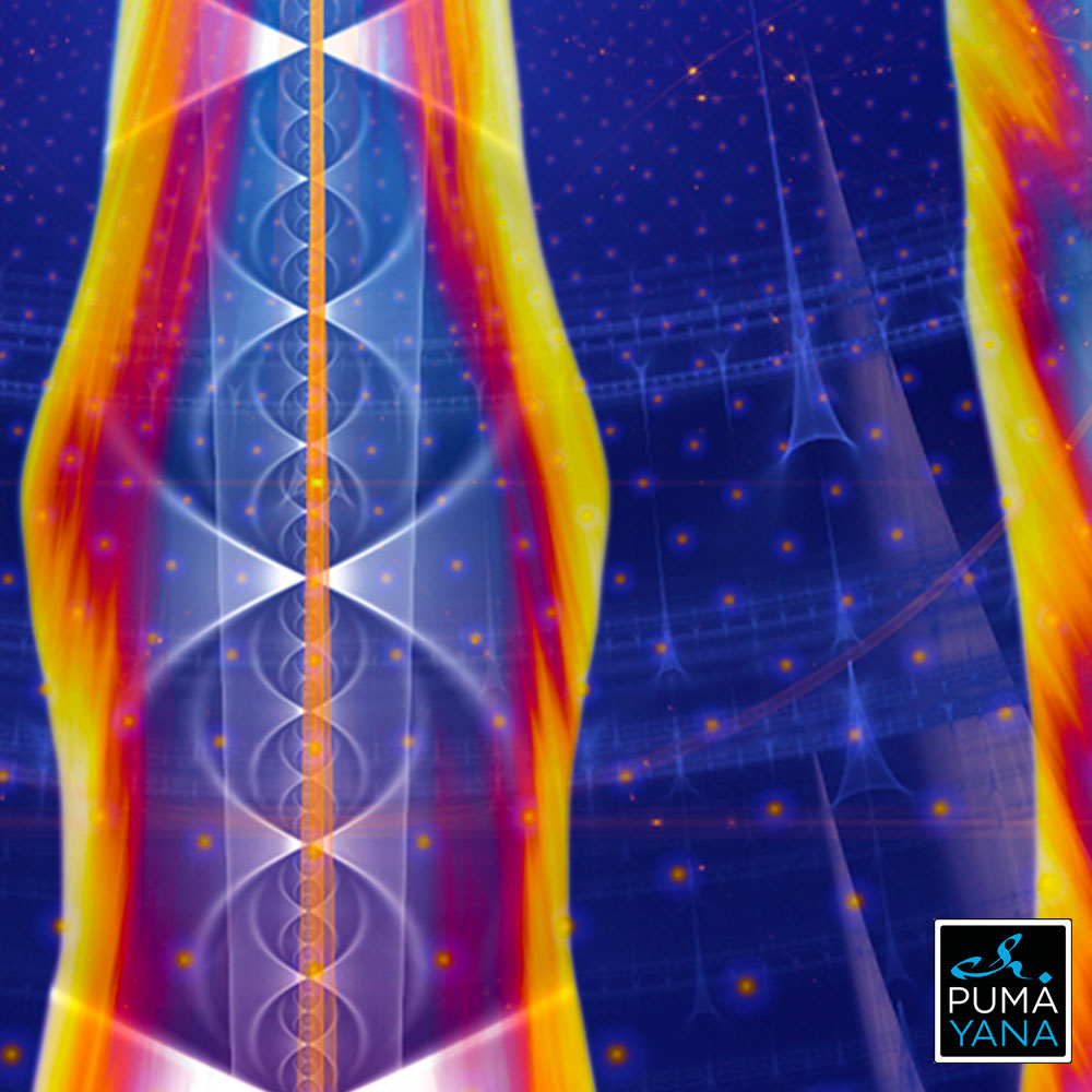 DNA Body Charger