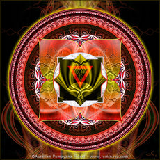 1st Chakra