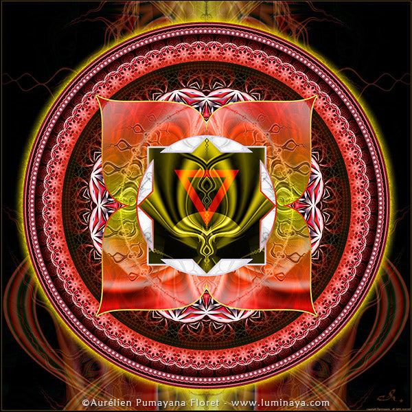 1st Chakra
