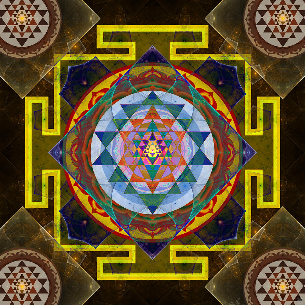 Rayon Stretch Sacred Geometry Bra - Nectar Creations