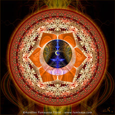 2nd Chakra